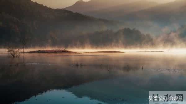 为何男人丧偶多再婚,而女人丧偶多选择独身?背后真相让人深思!