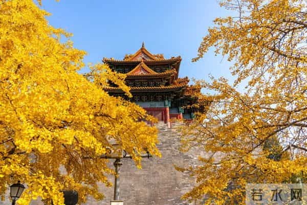 性和命和寿的关联：命好长寿的男人，身上往往有这几种特征