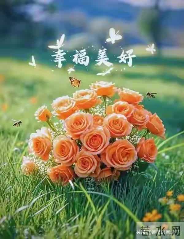 理学研究发现：有这种特质的人会越过越好，别不信