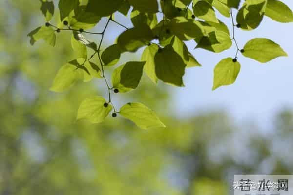 所有情人关系,都会走向2个结局