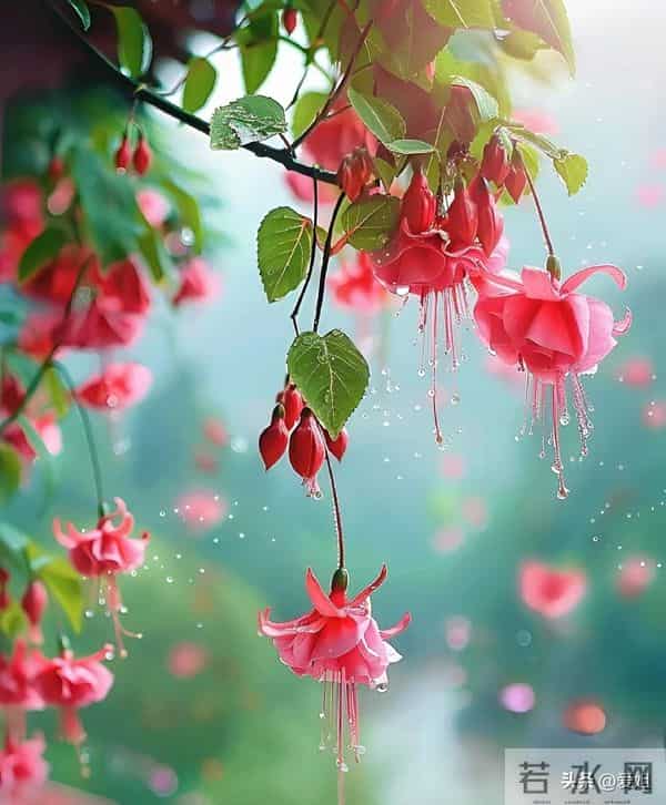 明天的你越来越好，越来越顺，赶紧签收属于你的好运