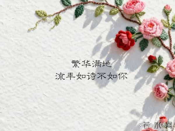 繁华满地，流年如诗不如你。