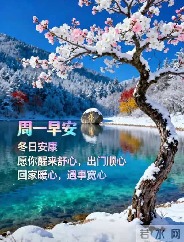 「冬日暖阳」11月24日早上好！初冬的早晨祝福问候语，早安图片