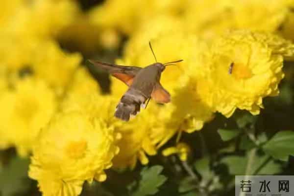 人这一辈子,这4个定数是命中注定的,由不得你