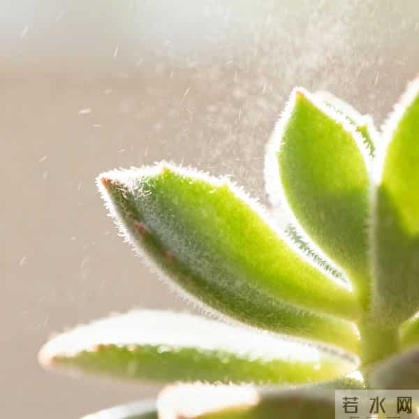 如果结局早已注定,我们,还活个什么劲儿?