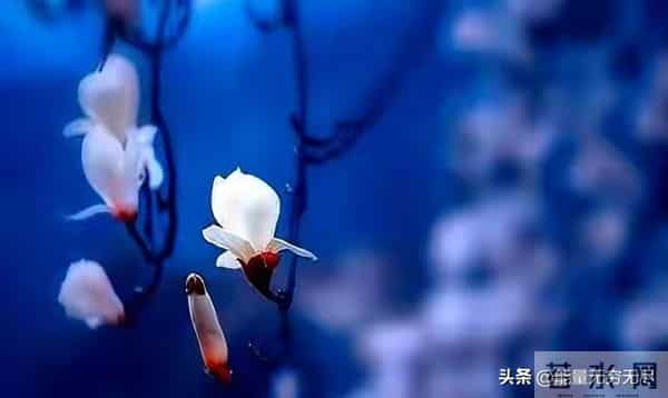 真正厉害的女性，才有的一种能力，你若拥有，任何人都拿捏不了！