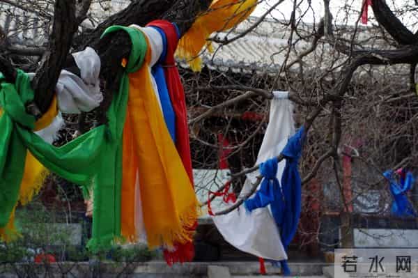 不管你信不信,女性过63岁后,基本都有如下6个现状!要坦然接受