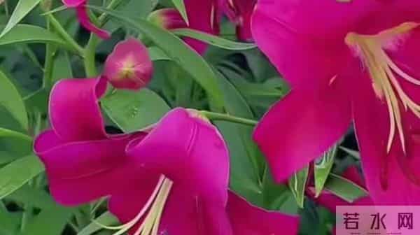 两性关系，65女人大实话，男人过了70岁，只剩下一个用处