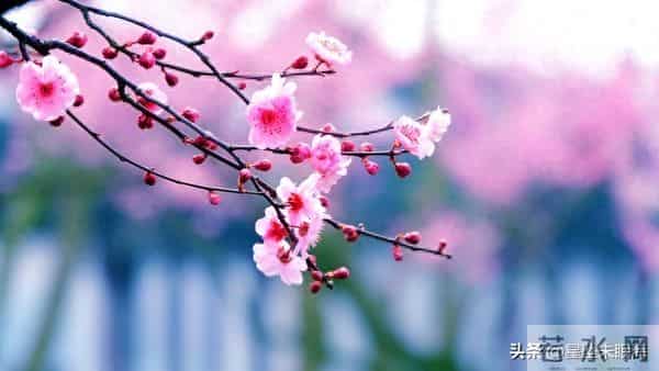 老年朋友们，只要你能走路自己做饭，身没大病，你就是最幸福的人