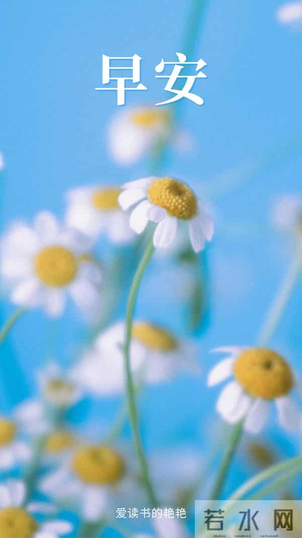 早安正能量励志句子,生活总会有惊喜,今天也要保持期待,早安呀