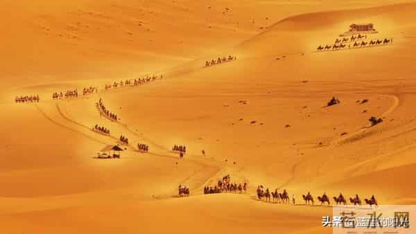 过了50岁,夫妻之间最大的隐痛,其实很少有人敢说出口