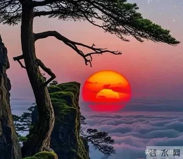 人生十不争，做到你就成功了。