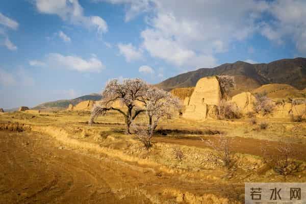 不管你信不信,女性过63岁后,基本都有如下6个现状!要坦然接受