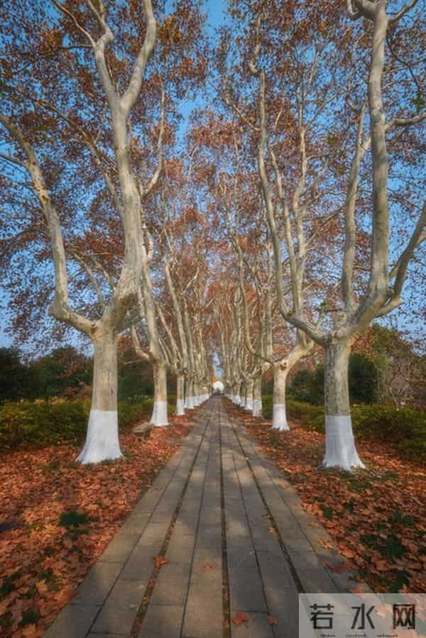 让女人死心塌地的关键：掌握“二八定律”