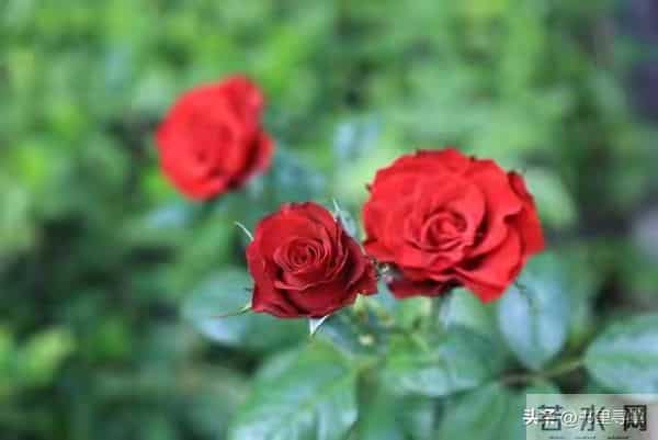 从明天起,请准备好接收你的好运!