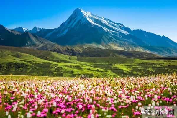 最舒服的两性关系：不是夫妻，却胜似夫妻