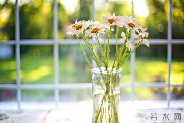 去女儿家带娃，女婿要求我每月交3000房租，我不吵不闹提三个要求