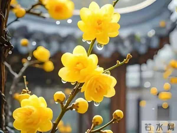 过了60岁才明白：女人找老伴，图的不是钱，不是人，而是一扇门