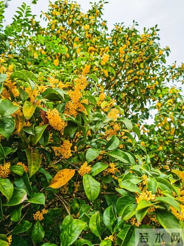 女人被吃定后，明显的变化：主动