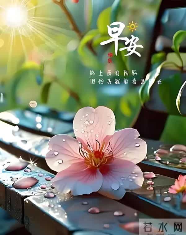 朋友圈早安文案,愿今日的你,如这林间的光,既温柔,又充满力量