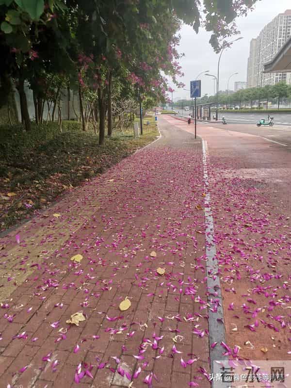 离婚后,她活成了千军万马(7)