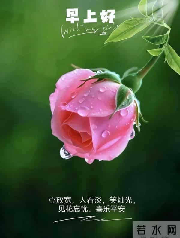 早安,愿今日所得,皆为心之所向