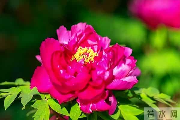 异性之间！这三个默许，就是相互喜欢