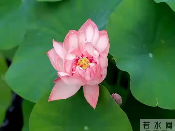 我 59 岁，和 65 岁男性出去玩了五天，回来我果断提出散伙，太无语