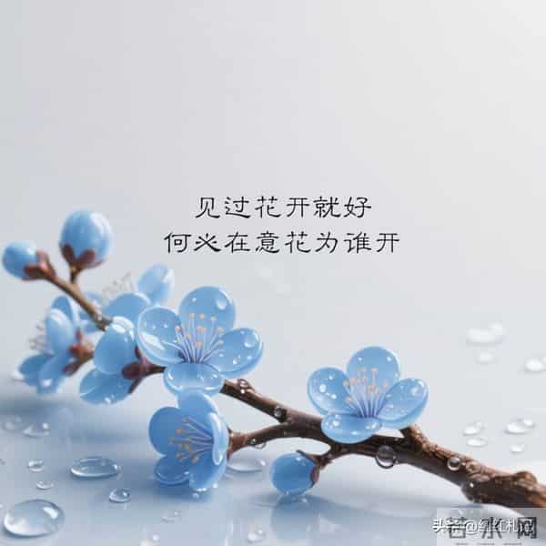 繁华满地，流年如诗不如你。