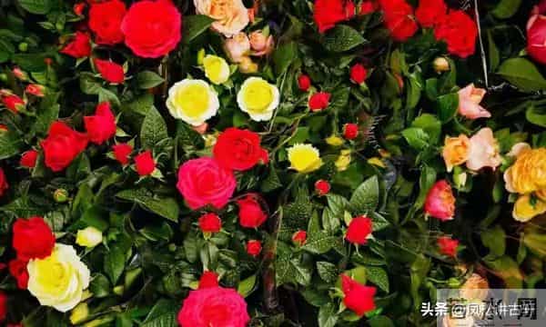 两性关系：越老的女人越喜欢什么？看了你就明白了