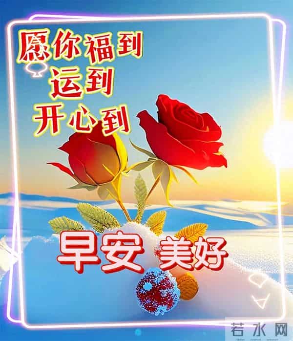 11月24日早上好 早上好问候图片最新今天 早安你好