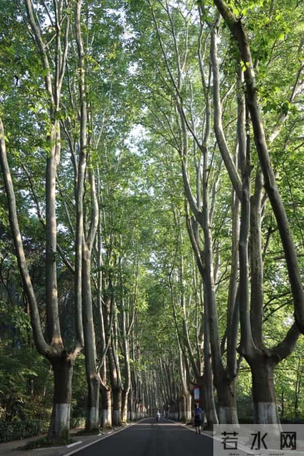 让女人死心塌地的关键：掌握“二八定律”