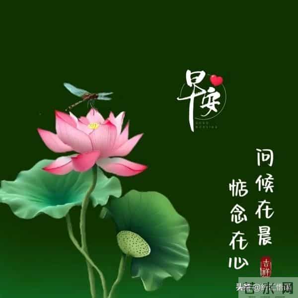 早安!愿这清晨的第一声问候,像一杯温热的牛奶,温暖你的心田