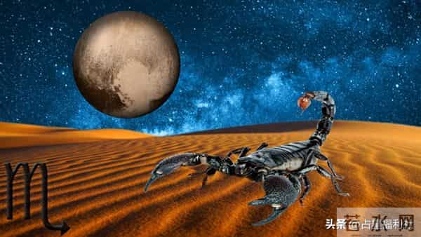 明日运势 - 11月24日天蝎座