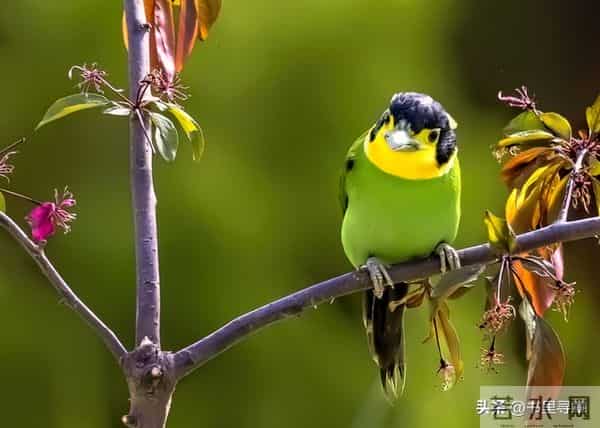 请接受这运程，你的孩子越来越顺