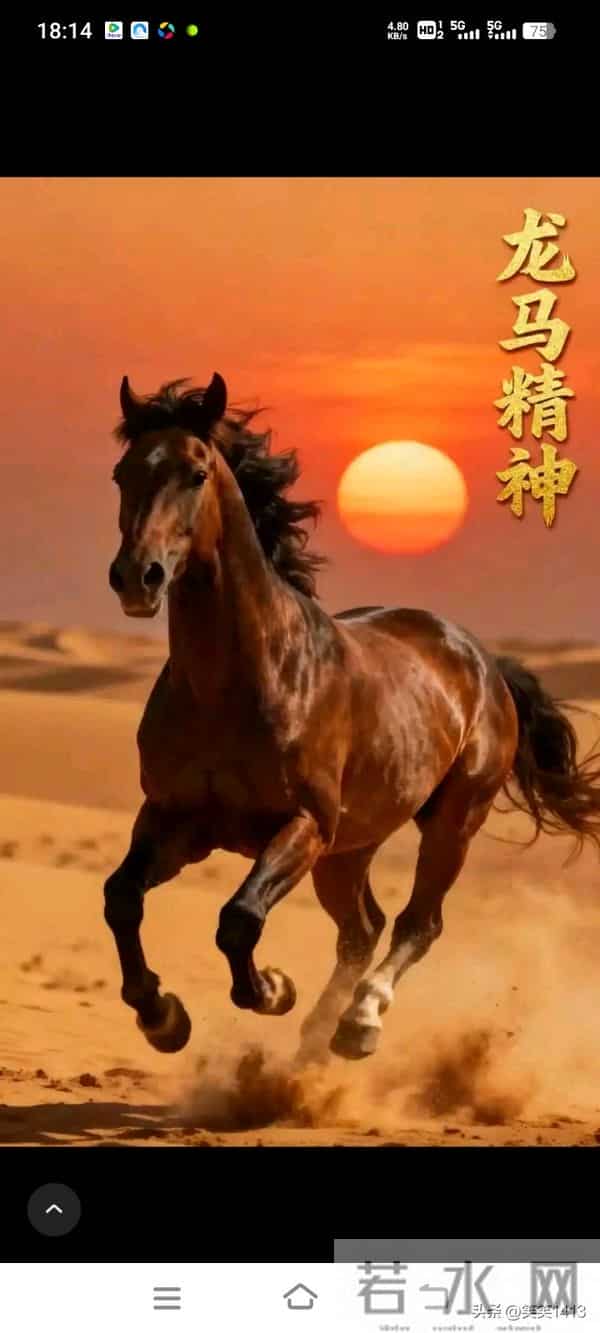 人到晚年不如狗?59岁没给儿子买房,村里抬不起头,真想一死了之