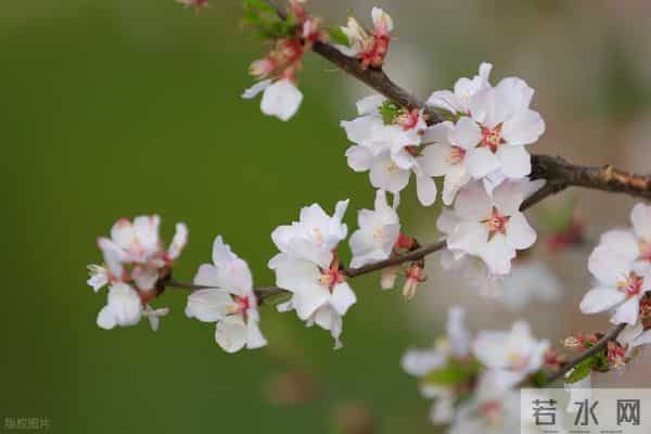 男人“搞定”一个女人后,会有的状态