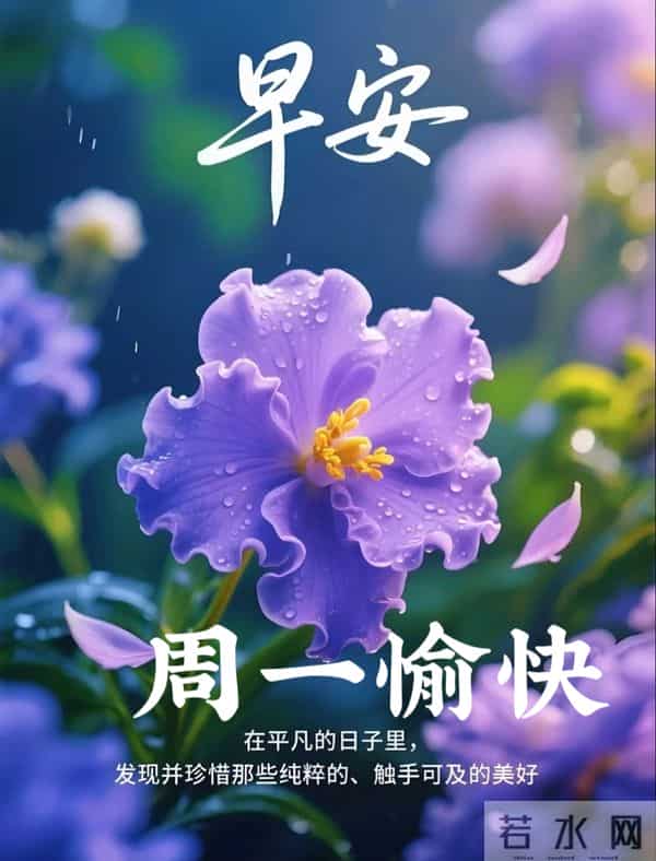 2025年11月24日周一早上好温馨问候语 早安图片 早安祝福精美图片