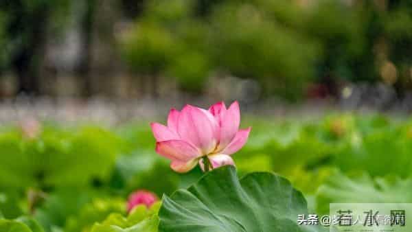 人退休后,最从容的活法:关闲门,养心性,踏山河