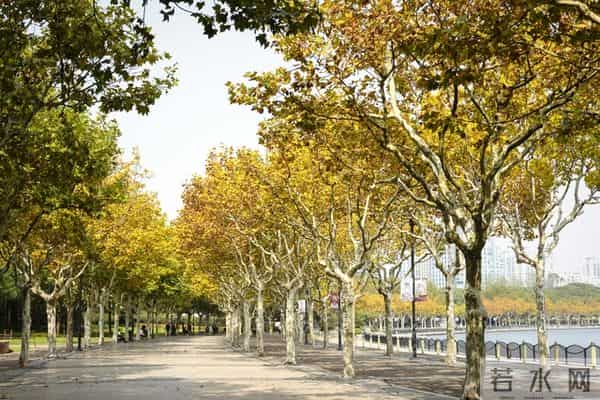 让女人死心塌地的关键：掌握“二八定律”