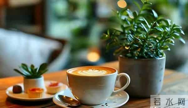 人生后半程，最好的活法，重新养一遍自己