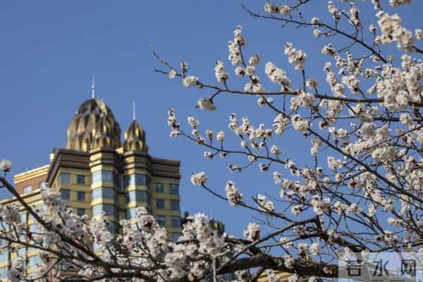 不管你信不信,女性过63岁后,基本都有如下6个现状!要坦然接受