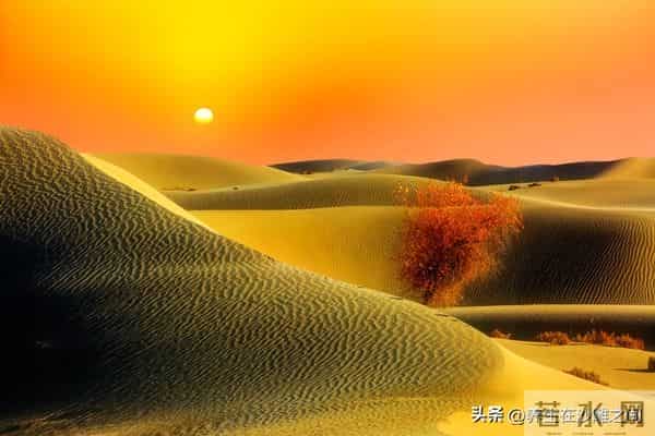 人生后半场：哄自己开心，才是最高级的养生