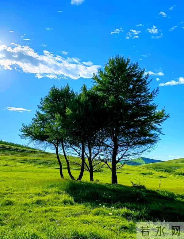 别让你的情绪，成为最贵的消费