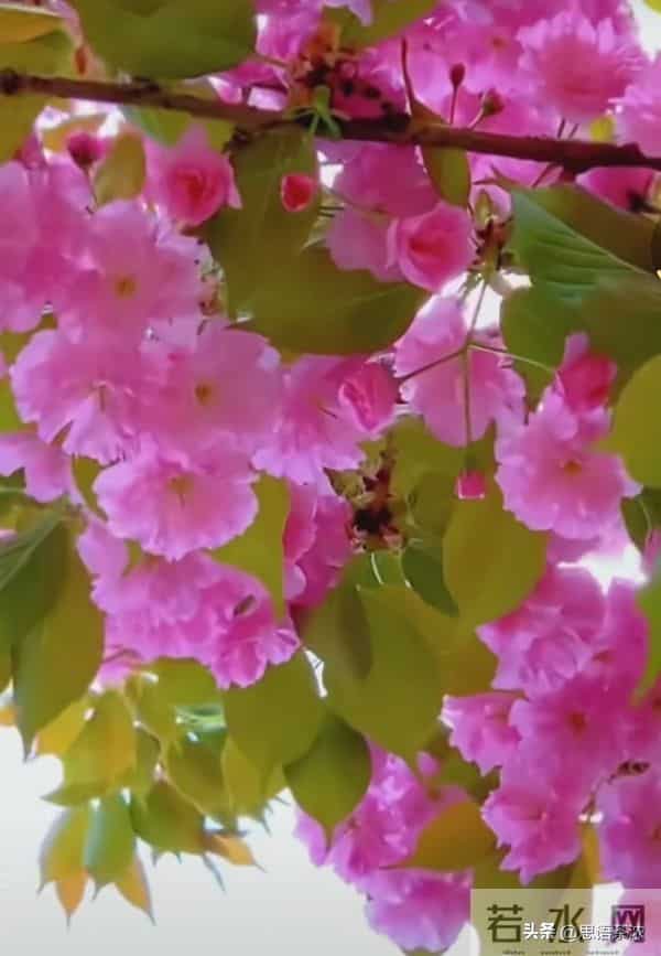 情感:女人真正爱你入骨的,才愿意对你暴露这两个隐私