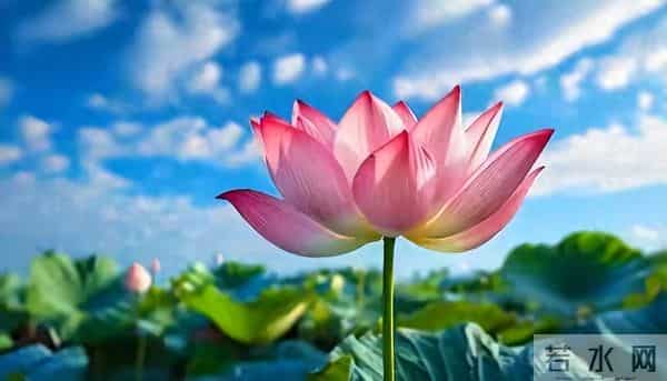 我 59 岁，和 65 岁男性出去玩了五天，回来我果断提出散伙，太无语