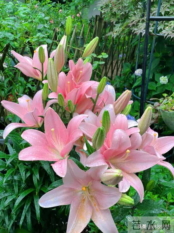 已婚女人一旦有了别的男人，不会拒绝丈夫亲近，却会有2个表现