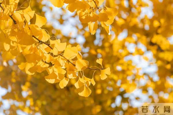 性和命和寿的关联：命好长寿的男人，身上往往有这几种特征