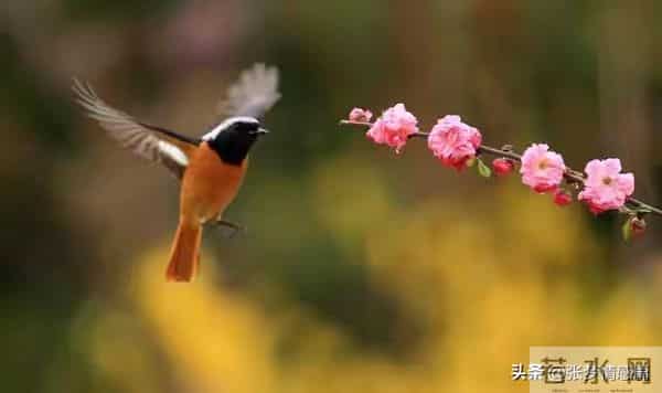 两性关系:63岁的我搭伙三次才知道,女人过了60岁找老伴太难了