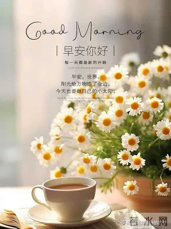 “周一早安，挑一条去发朋友圈，愿好心情带来好运气~”